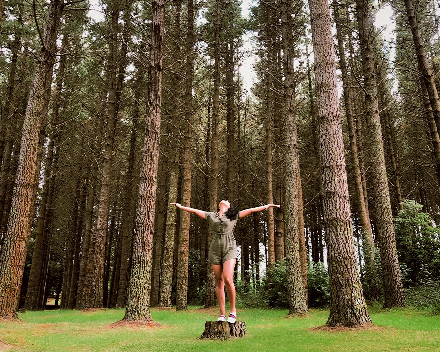 mujer en el bosque levantando los brazos