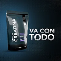 Creatina